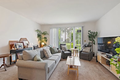 368 Maidstone Ct unit 15368A, Schaumburg, IL 60194 - photo 7