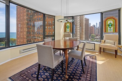 1555 N Astor St unit 12SE, Chicago, IL 60610 - photo 7