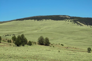 State Highway 9, Guffey, CO 80820 - photo 6