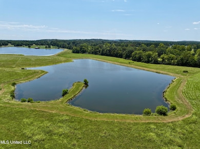 dji_fly_20240812_171726_0004_17234952542