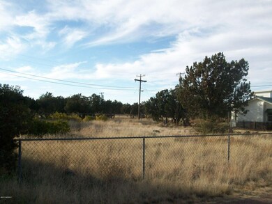 1780 Canyon Pl Show Low 006