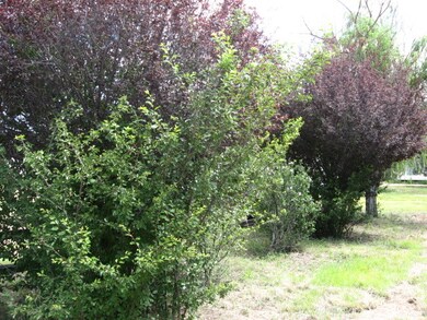 yard north of house