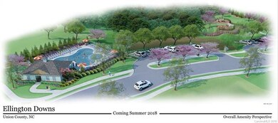 2155 Poplar Ridge Dr unit 27, Wesley Chapel, NC 28110 - photo 4