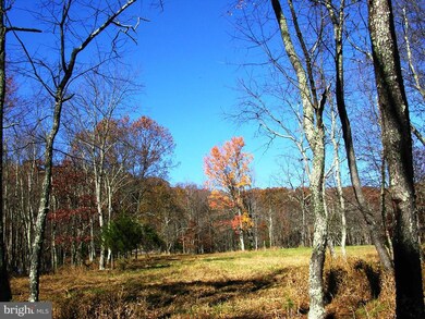 unlisted-address, Baker, WV 26801 - photo 5