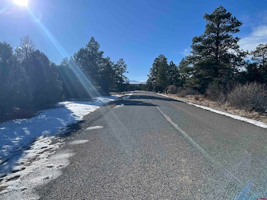 TBD Cottontail Ln, Ridgway, CO 81432 - photo 2