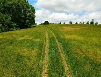 Photo_6553863_DJI_263_jpg_7923598_0_2021