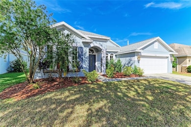 7114 Cromwell Park Ln, Apollo Beach, FL 33572 - photo 7