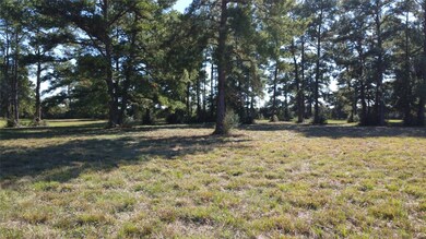 00000 Macedonia, Waller, TX 77484 - photo 6