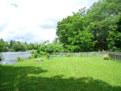 #6 back yard