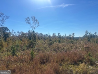 0 Jd Williams Rd, Cadwell, GA 31009 - photo 6