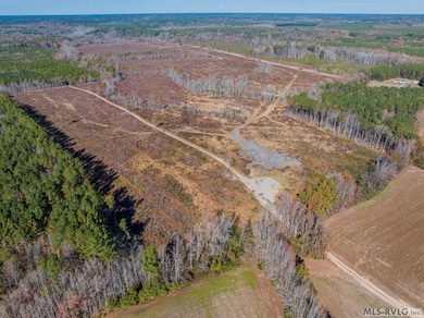 0104199 Bowers Rd, Littleton, NC 27850 - photo 2