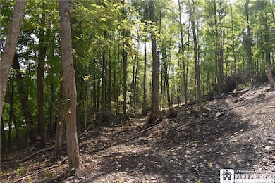 0 Route 380 unit R1636418, Ellicott, NY 14701 - photo 5