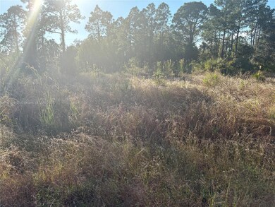 315 Abbott Ave, Lehigh Acres, FL 33936 - photo 5