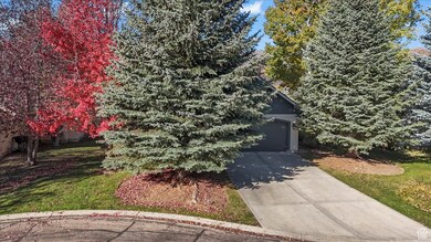 View of property hidden behind natural elements with concrete driveway and a front yard