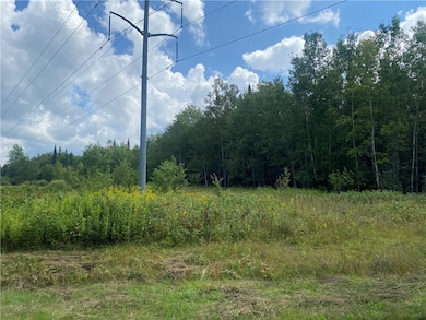 On Pixley Shores Rd, Fifield, WI 54524 - photo 5