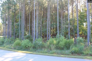 0 Clouds Creek Cir, Leesville, SC 29070 - photo 4