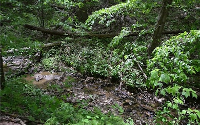 Additional View