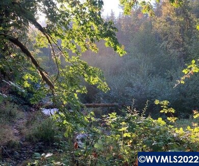 20241 NE Abiqua Rd, Silverton, OR 97381 - photo 4