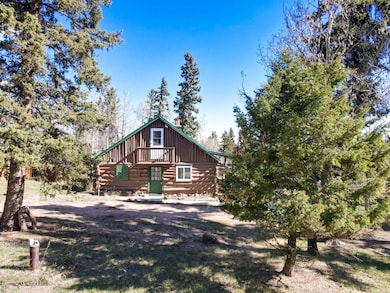 33 Friar Tuck Dr, Divide, CO 80814 - photo 2