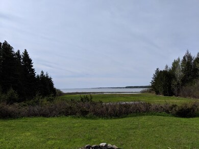 Lk Huron View