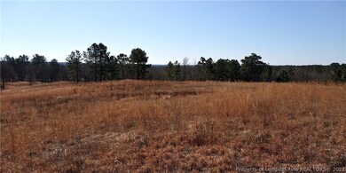 0 Serina Woods Wood unit 651948, Lillington, NC 27332 - photo 7