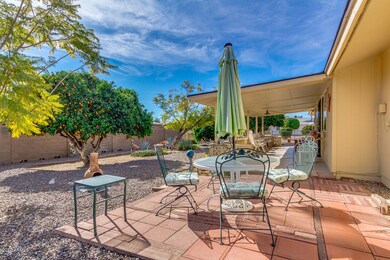 Large entertaining backyard