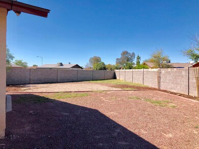 Backyard 1