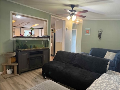 Living room, hall to 2 beds and bath