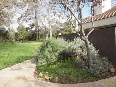 Walk-way by yard