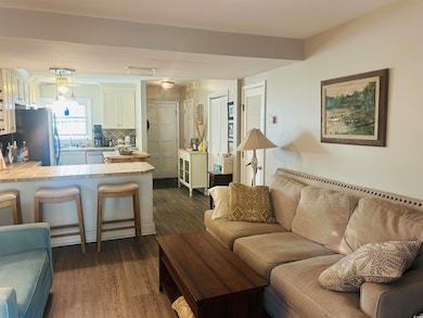 Living room with dark hardwood / wood-style floors