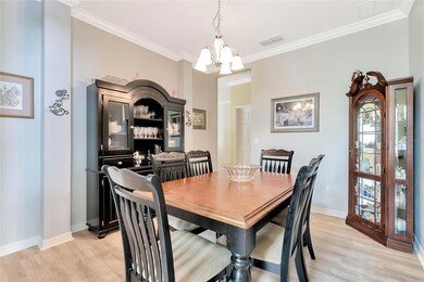 12401 Splendid Sky Dr, Clermont, FL 34711 - photo 5