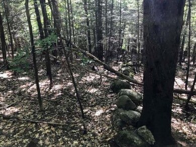 0 Chalk Pond Rd unit 1 4944686, Newbury, NH 03255 - photo 4