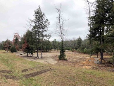 Lot 4 Farm Pond Ln unit Lot 4 aka Lot 23, Tuftonboro, NH 03816 - photo 5