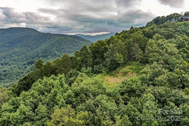 9999 High Cliffs Trail, Black Mountain, NC 28711 - photo 7