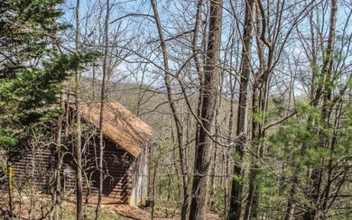 Additional View