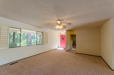 4001 Hope Ln, Dunsmuir, CA 96025 - photo 5