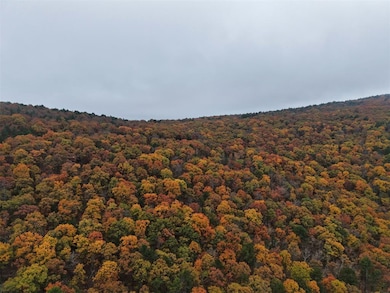 4179 Lafayette, Talihina, OK 74571 - photo 6