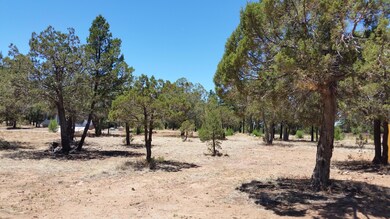 620 S Jogin Ln unit 37, Show Low, AZ 85901 - photo 2