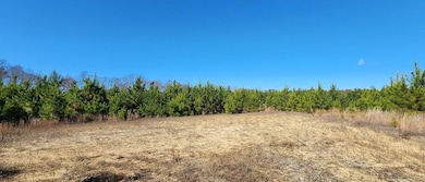 Partlow Rd, Beaverdam, VA 23015 - photo 2