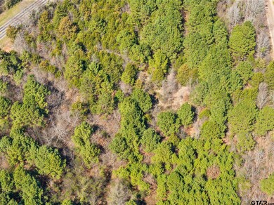 Lot 4 Fm 556, Pittsburg, TX 75686 - photo 6