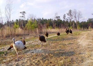 140 County Road 5131, Booneville, MS 38829 - photo 5