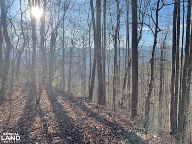 00 Early Deitz Rd, Sylva, NC 28779 - photo 4