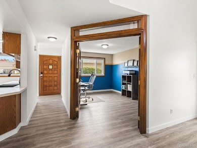 253 S 25th Ave, Brighton, CO 80601 - photo 4