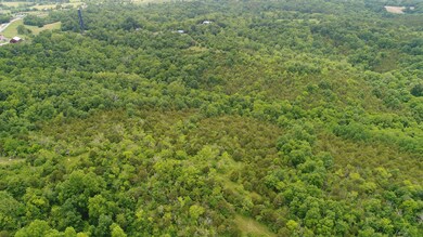 1311 Old Dixville Rd, Harrodsburg, KY 40330 - photo 6