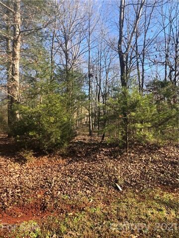 Lot 11 Cline Farm Rd unit 11, Lincolnton, NC 28092 - photo 6