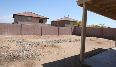 backyard 2