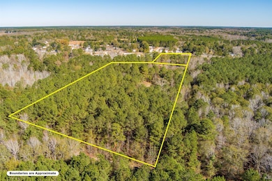 170 Mill Branch Rd, Orangeburg, SC 29118 - photo 4