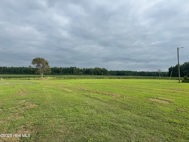 704 Wade Rd, Scotland Neck, NC 27874 - photo 6