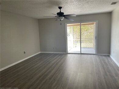 205 S Pine Ave, Lake Placid, FL 33852 - photo 5