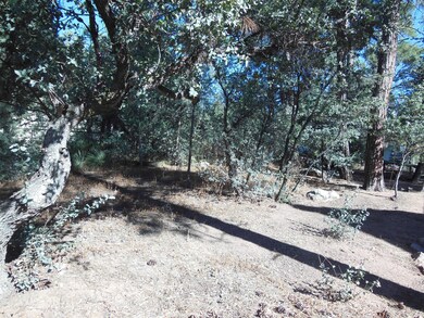 1008 N Chalet Cir, Payson, AZ 85541 - photo 5